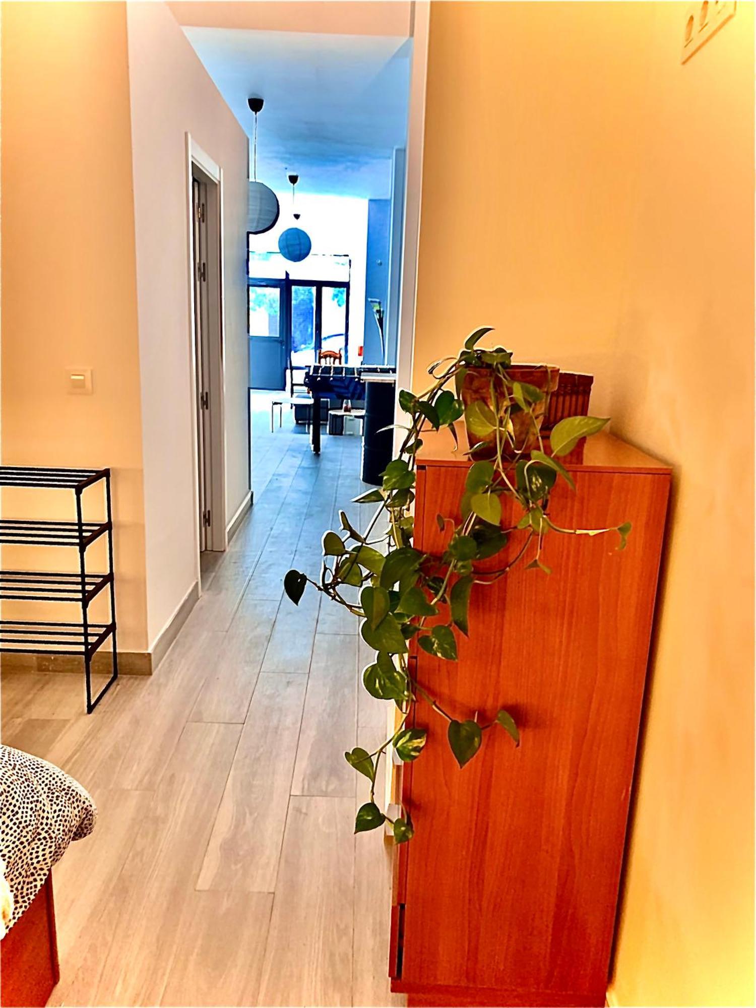 Violeta Loft A With Chill Out Terrace Sevilla Экстерьер фото